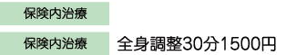 保険内治療　全身調整30分1500円